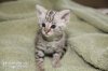 castiel-7.jpg