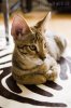 Ayrad Chilling 14 Weeks.jpg