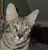 DSC_5869.jpg