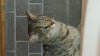 20130807_223748.jpg