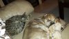 20130826_201129.jpg