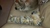 20130826_205756.jpg