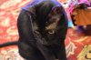 DSC_4165.JPG DSC_4165.JPG