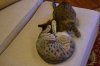 DSC_4182.JPG