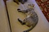 DSC_4191.JPG
