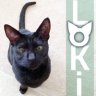Tracy_Loki's-huMoM