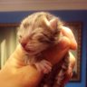 Jack Malacat