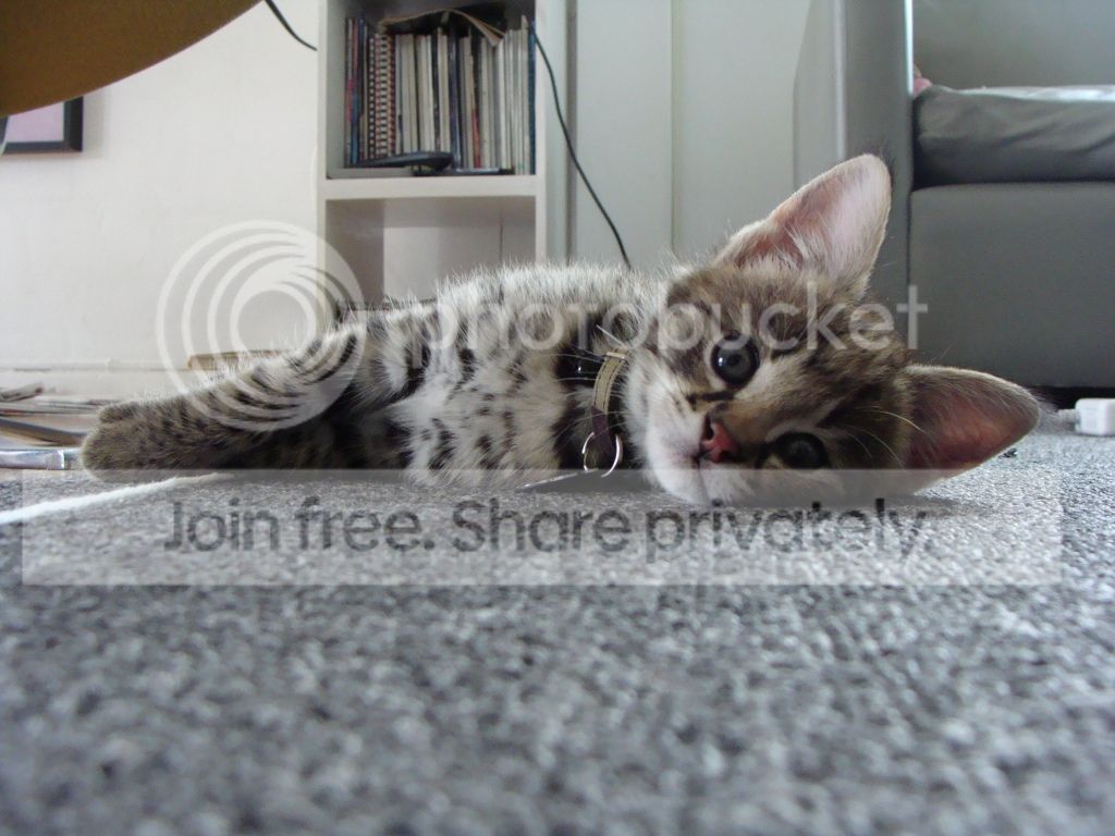 DSC03508.jpg