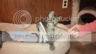 IMG_00000451.jpg