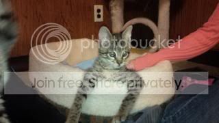 IMG_00000454.jpg