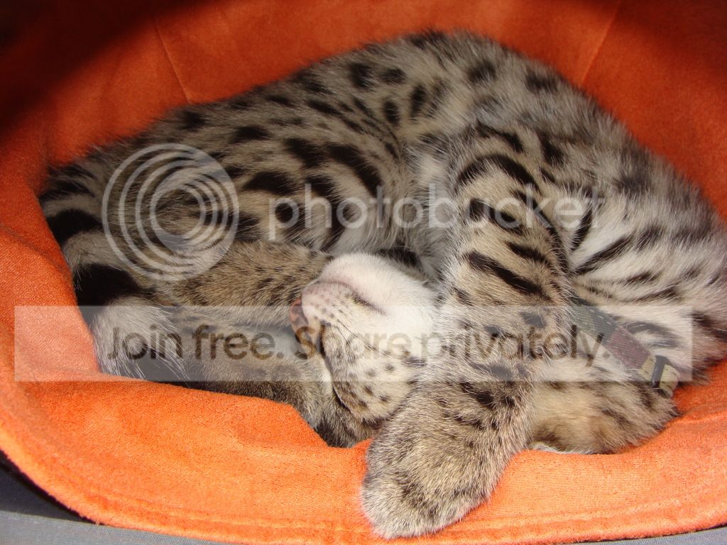 DSC03661.jpg