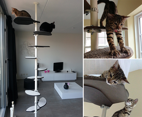 Franklin-arbre-a-chats-design-1.jpg