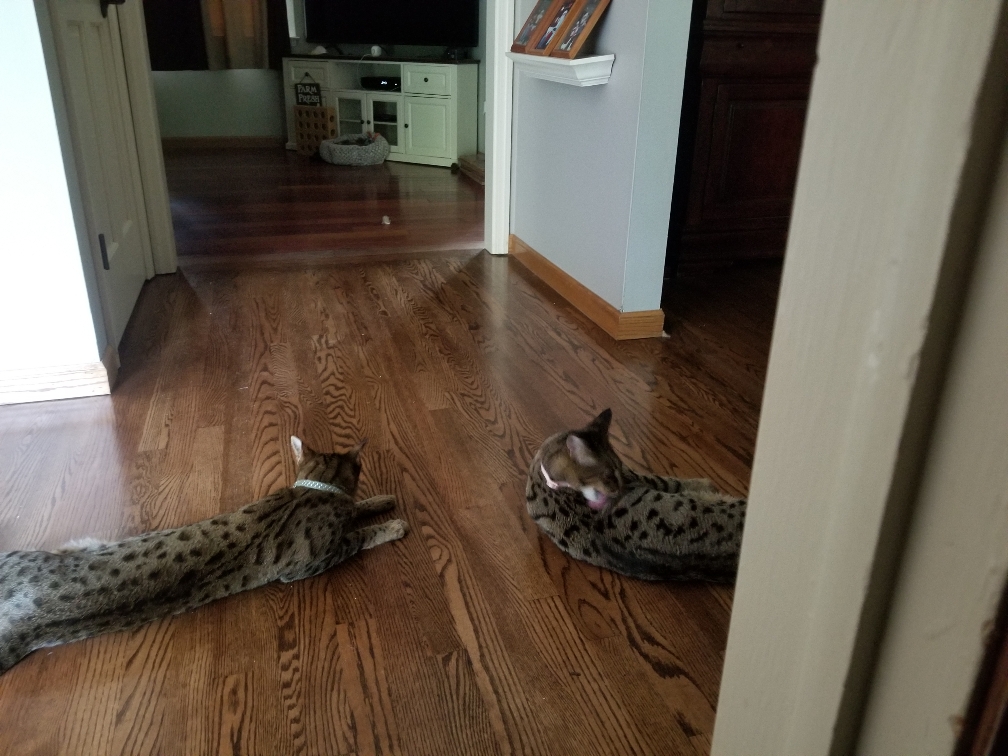 9b2782cadf4df1bb82f0401082c835f3.jpg