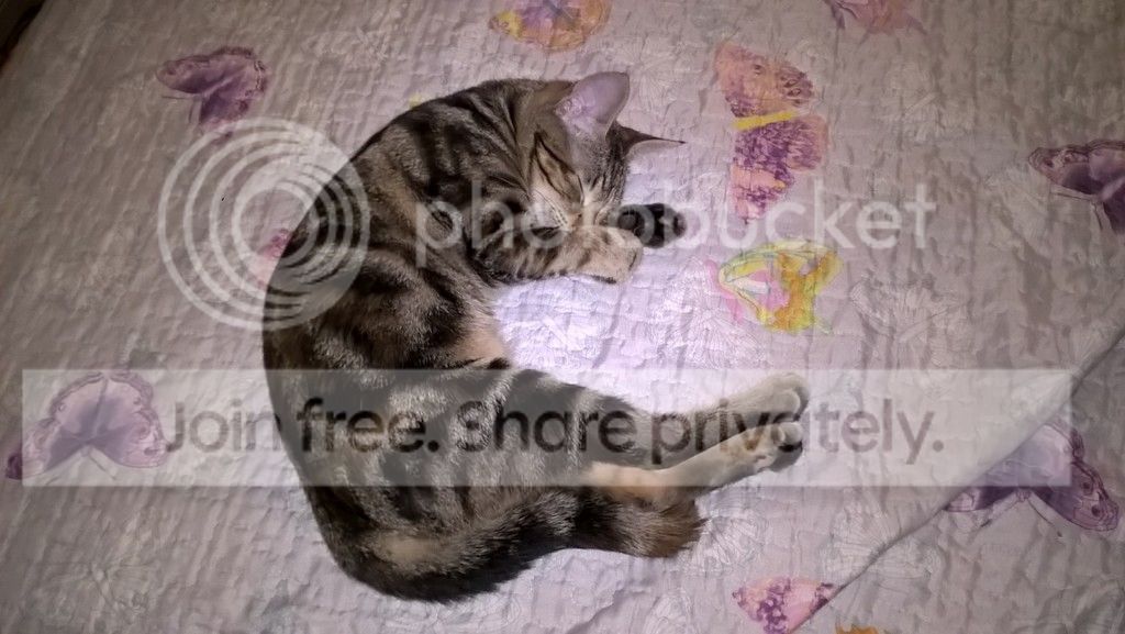 WP_20160623_18_02_04_Pro_zpsppuwtlbb.jpg