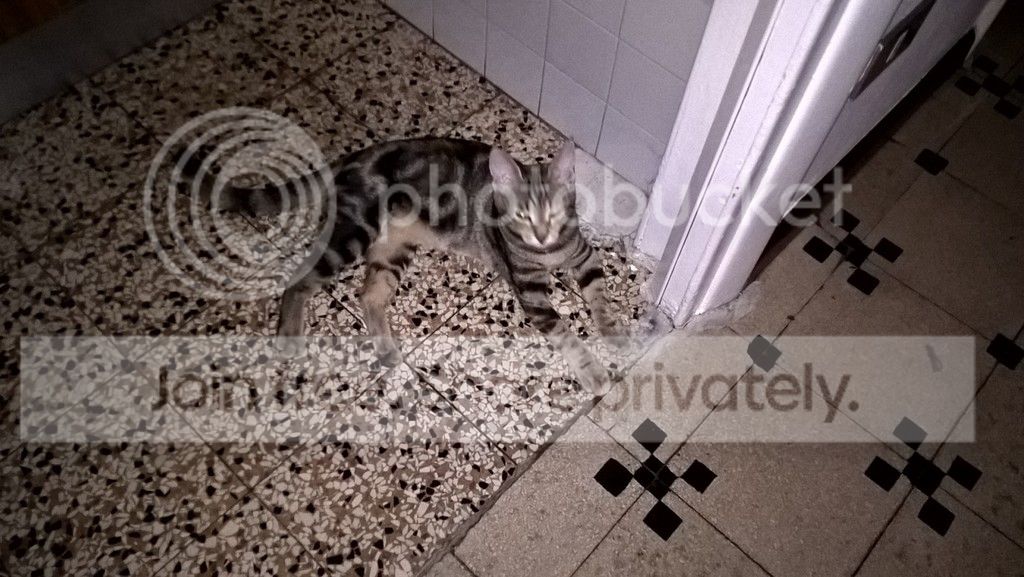 WP_20160624_06_49_34_Pro_zpslvaqxfuw.jpg