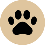 catbehaviorassociates.com