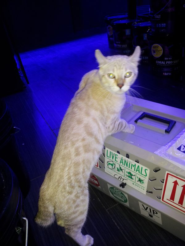 20151014_194704_zps2nd70tgg.jpg