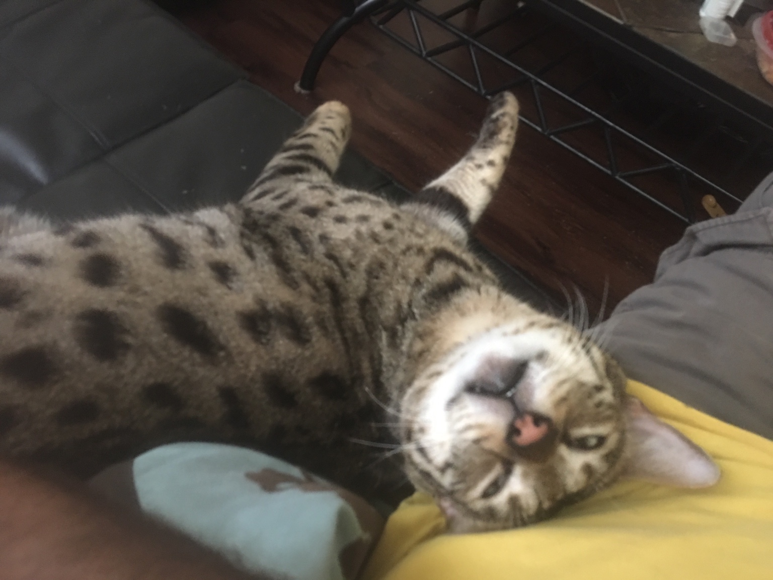 3ff5705505065df0fb68615cee41945c.jpg