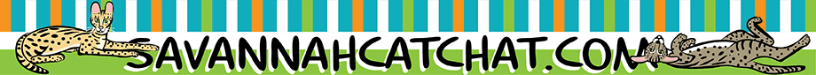 Savannah Cat Chat logo